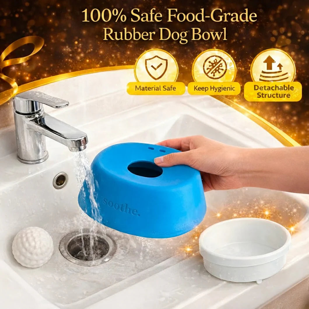 Dog bored, pacing, or chewing furniture for stimulation